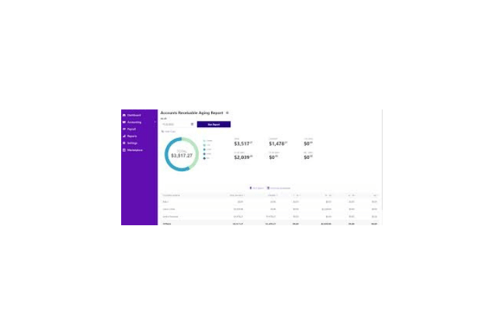 Business Accounting Software Services